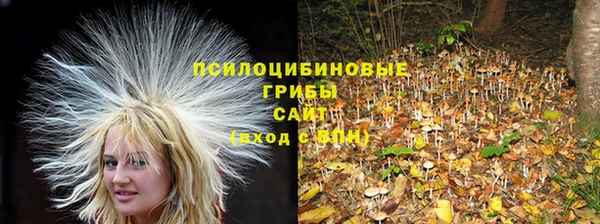 шишки Алексин
