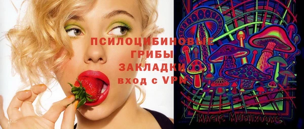 шишки Алексин