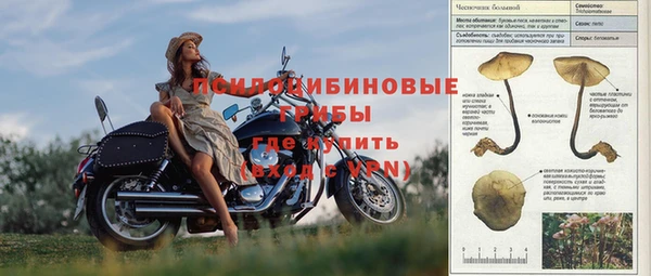 спайс Алзамай