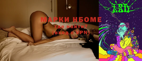 шишки Алексин